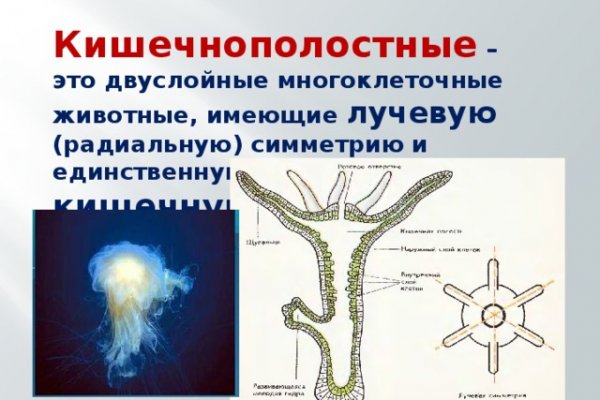 Ссылка на кракен на сегодня