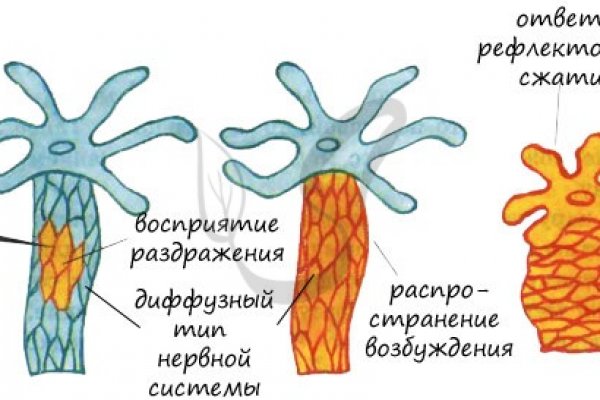 Kra33.cc Вход на сайт главная страница