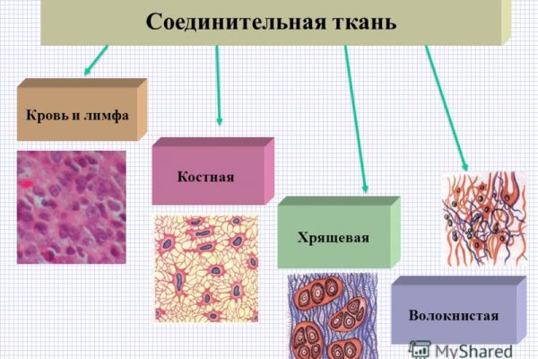 Ссылка кракен cc