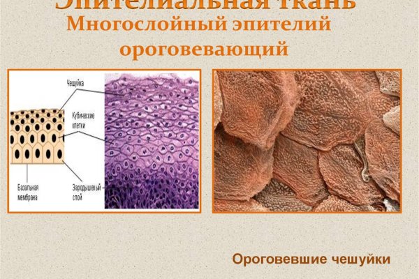 Кракен вход на сайт